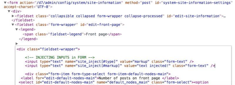 Injecting inputs in a form